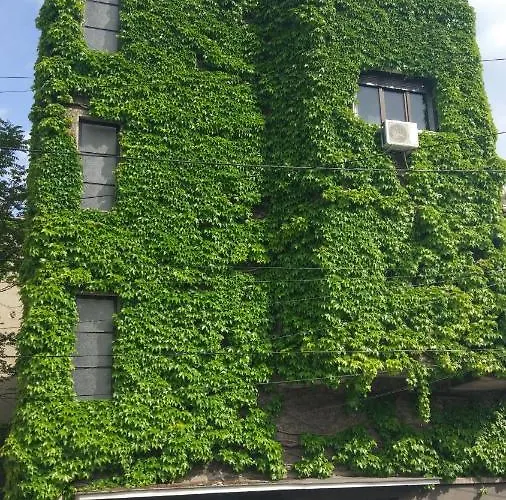Apartamento House